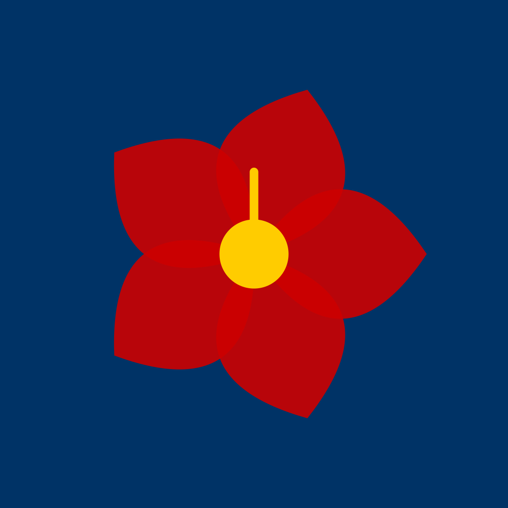 LingoRaya Icon